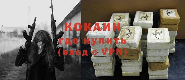 крисы Алзамай