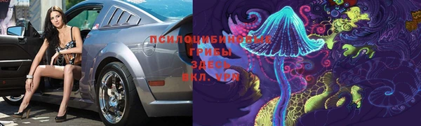 тгк Алексин