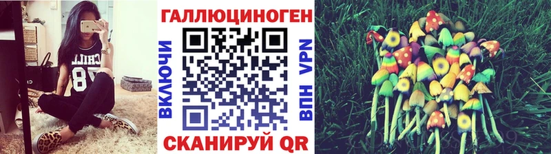 Псилоцибиновые грибы Psilocybine cubensis  Моздок 