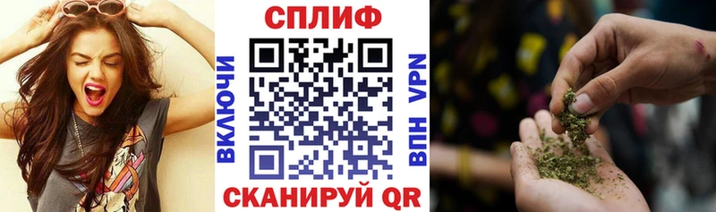 купить  сайты  Моздок  Шишки марихуана индика 
